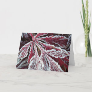 Fuzzy frosty leaf card