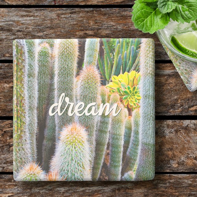 Fuzzy Green Cacti Succulent Photo Dream Script Stone Coaster (Creator Uploaded)