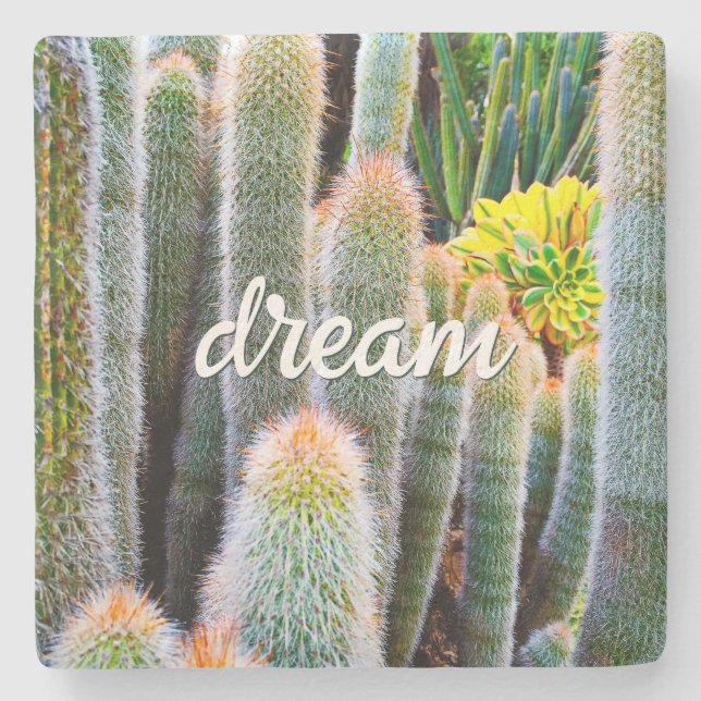 Fuzzy Green Cacti Succulent Photo Dream Script Stone Coaster (Front)