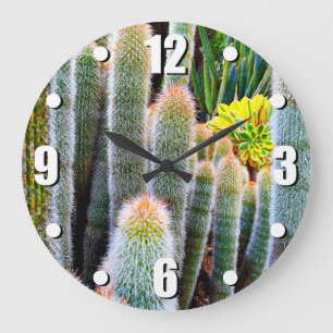 Fuzzy green cacti succulent photo modern bold large clock