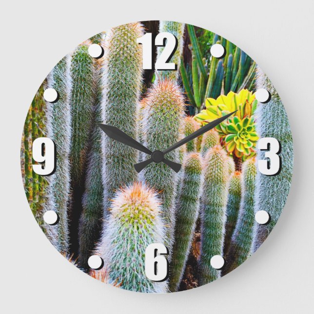 Fuzzy green cacti succulent photo modern bold large clock (Front)