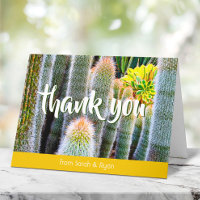 Fuzzy green cacti succulent photo script name bold