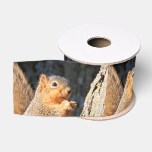 Fuzzy Grosgrain Ribbon