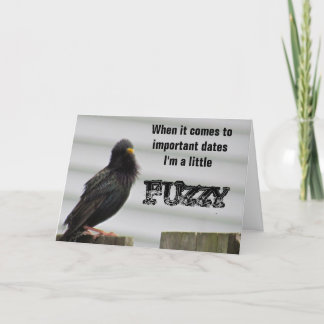 Fuzzy Headed Bird Card