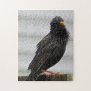 Fuzzy Headed Bird Jigsaw Puzzle