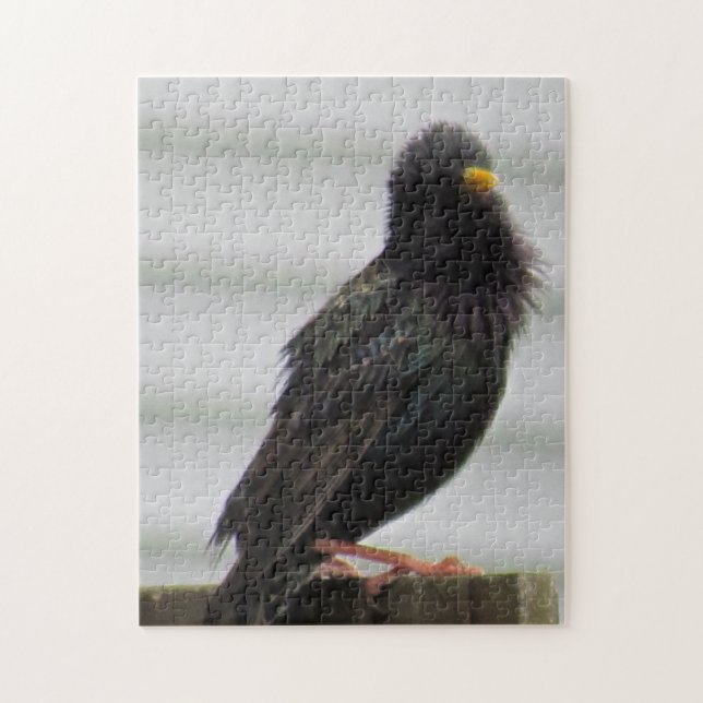 Fuzzy Headed Bird Jigsaw Puzzle (Vertical)