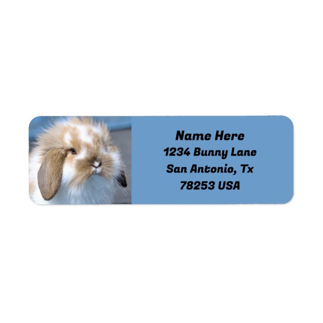 Fuzzy Holland Mini Dwarf Lop Bunny Return Address Label (Front)