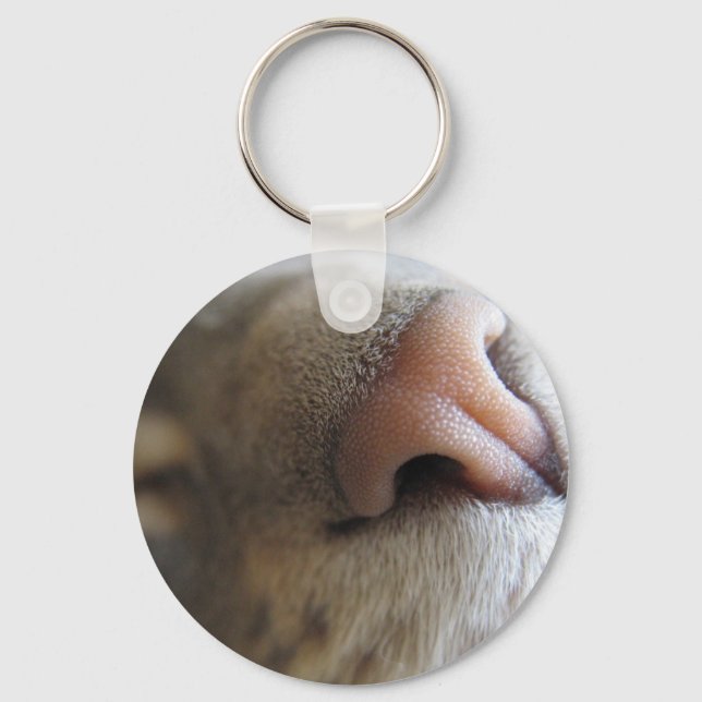 Fuzzy Kitty Nose Key Ring (Front)