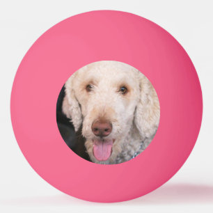 Fuzzy ping pong ball