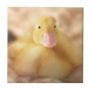 Fuzzy Yellow Duck Easter Baby Duckling Ceramic Tile