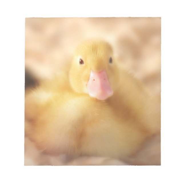 Fuzzy Yellow Duck Easter Baby Duckling Notepad (Front)