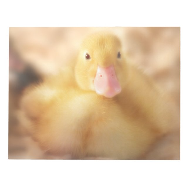 Fuzzy Yellow Duck Easter Baby Duckling Notepad (Front)