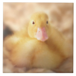 Fuzzy Yellow Duck Easter Baby Duckling Tile