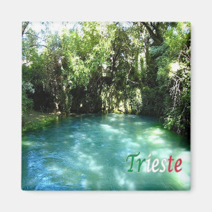 FVG016 TRIESTE, Risorgive del Timavo, Fridge Magnet
