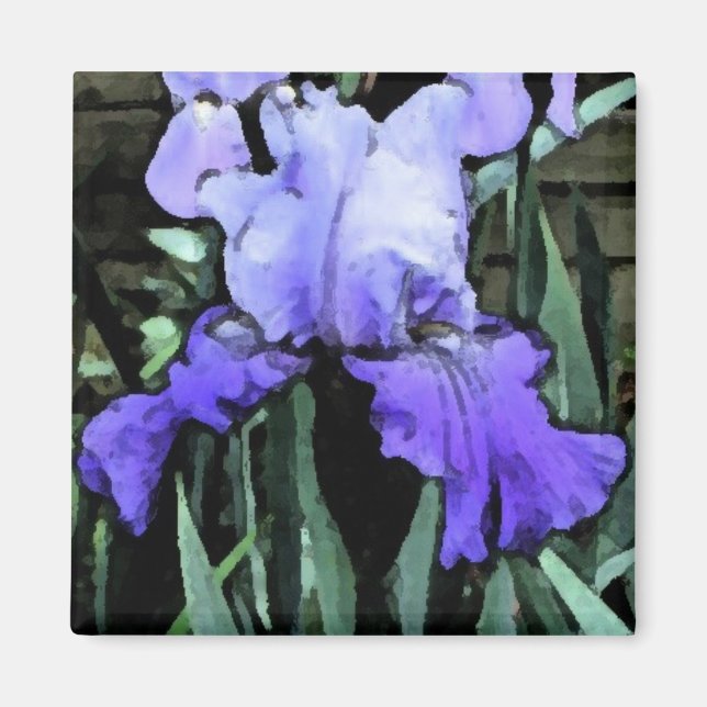 FX- Blue Iris Magnet (Front)