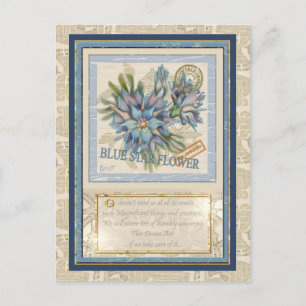 G Creation Office blue flower Postcard