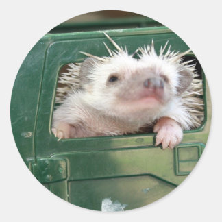 G.I. Hedgehog Classic Round Sticker