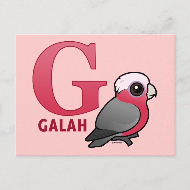 G is for Galah Postcard (Front)