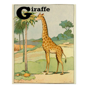 G is for Giraffe Alphabet Animals Perfect Poster