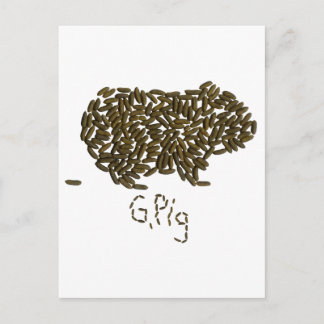 "G. Pig" with Classic Guinea Pig Postcard