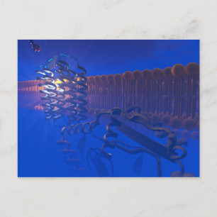 G Protein Receptor postcard