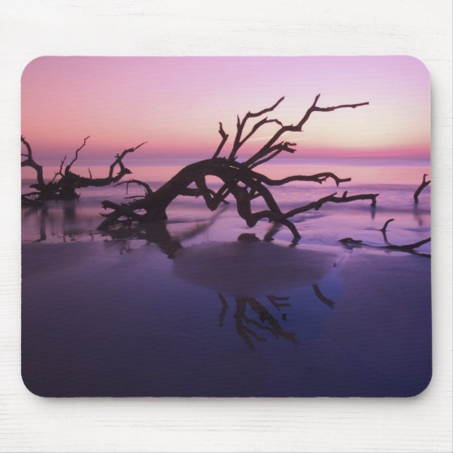 GA Jekyll Island, Tree graveyard on  beach at Mouse Pad (Front)