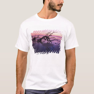 GA Jekyll Island, Tree graveyard on beach at T-Shirt