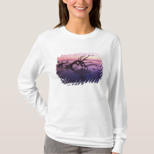 GA Jekyll Island, Tree graveyard on  beach at T-Shirt