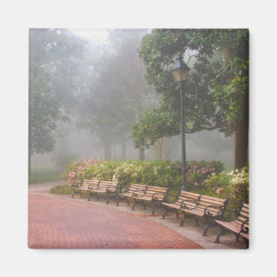 GA Savannah, Azaleas along brick sidewalk and Magnet