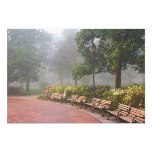 GA Savannah, Azaleas along brick sidewalk and Photo Print