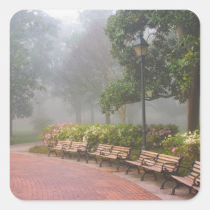 GA Savannah, Azaleas along brick sidewalk and Square Sticker
