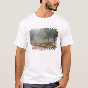 GA Savannah, Azaleas along brick sidewalk and T-Shirt