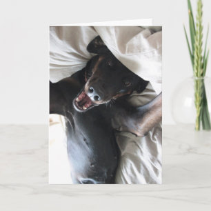 Gabby the Rescue Dog Selfie Greeting Card