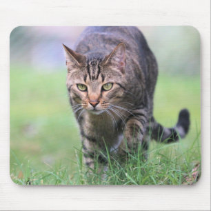 Gabe Mouse Pad