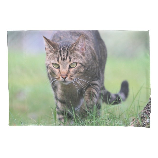 Gabe Pillowcase (Front)