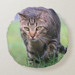 Gabe  round cushion