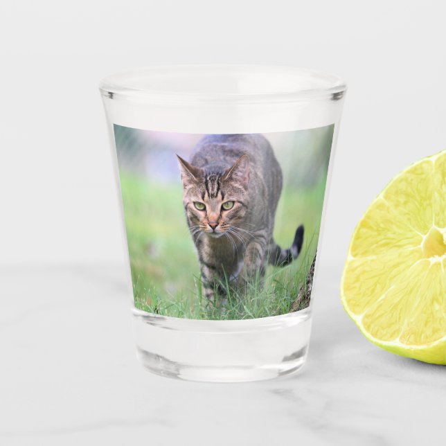 Gabe Shot Glass (Front)