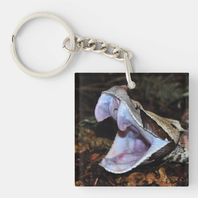 Gabon viper key ring (Front)