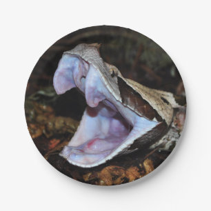 Gabon viper paper plate