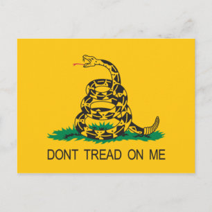 Gadsden Postcard