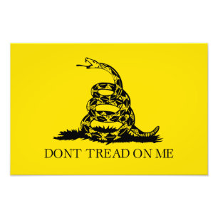 Gadsden Rattlesnake Flag: Revolutionary War 1776 Photo Print