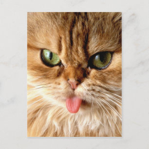 Gag me with a spoon postcard