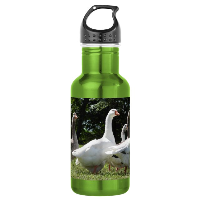 Gaggle of Domesticated Geese 532 Ml Water Bottle (Front)