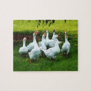 Gaggle of Geese Jigsaw Puzzle