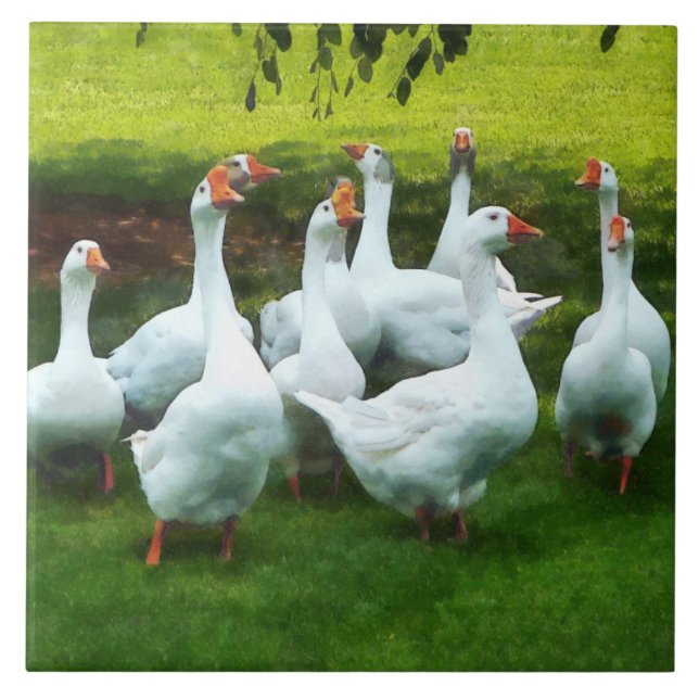 Gaggle of Geese Tile (Front)
