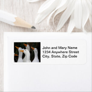 Gaggle of White Ducks Address Return Address Label