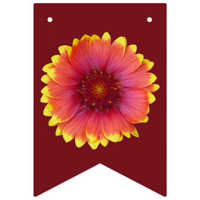 Gaillardia 1 bunting  (First Flag)