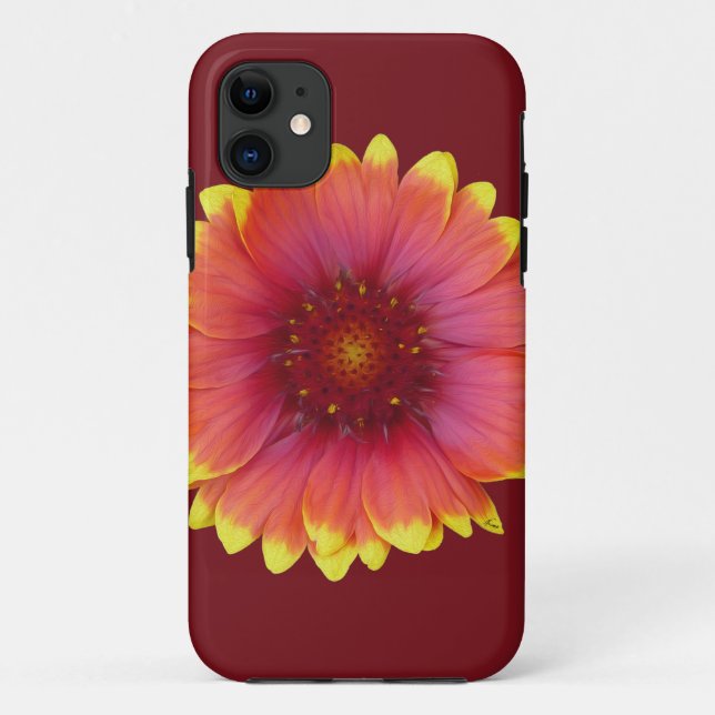 Gaillardia 1 Case-Mate iPhone case (Back)