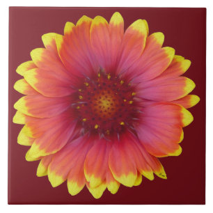 Gaillardia 1 ceramic tile