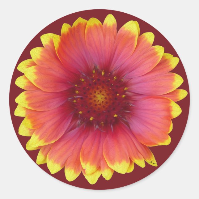 Gaillardia 1 classic round sticker (Front)